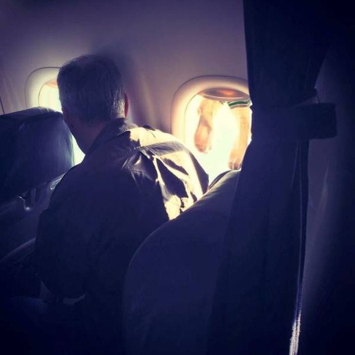 �������, ���������� � �������� ����