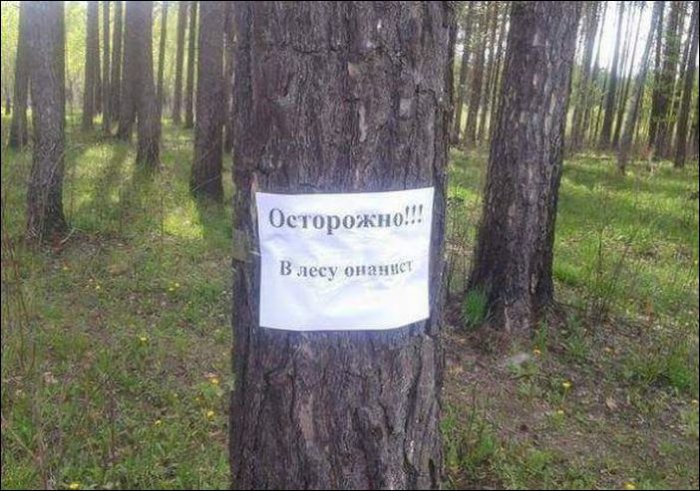 �������, ���������� � �������� ����