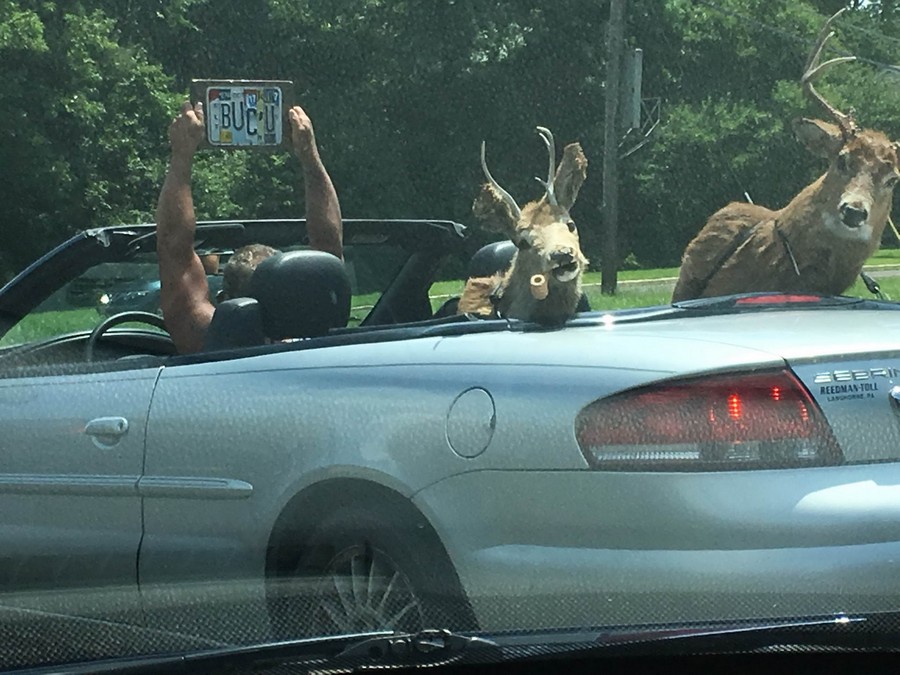 �������, ���������� � �������� ����