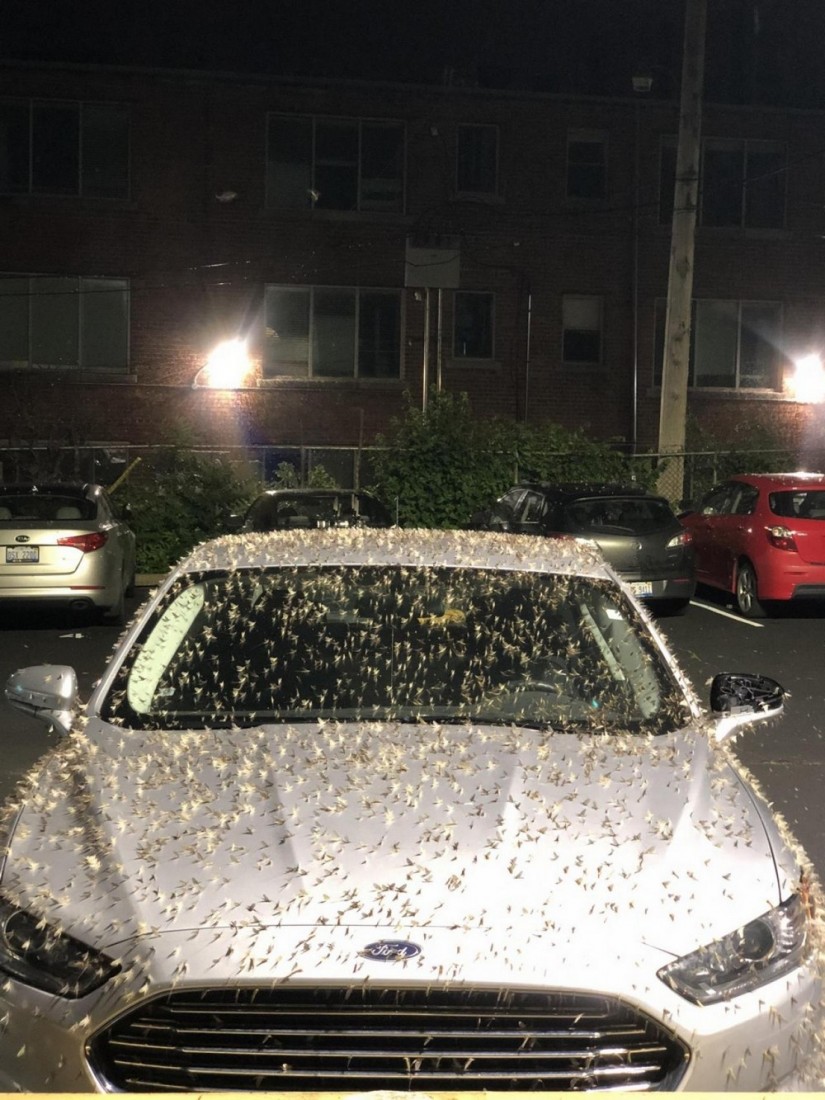 �������, ���������� � �������� ����
