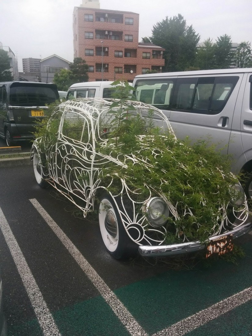 �������, ���������� � �������� ����