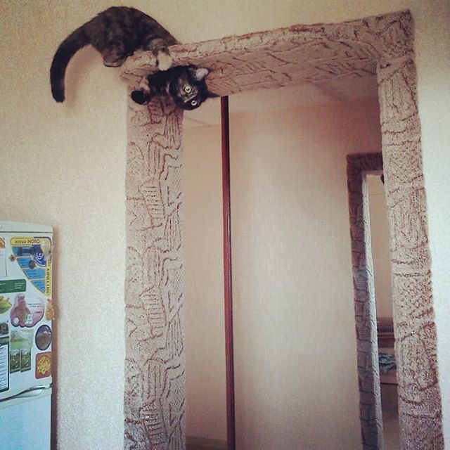 �������, ���������� � �������� ����