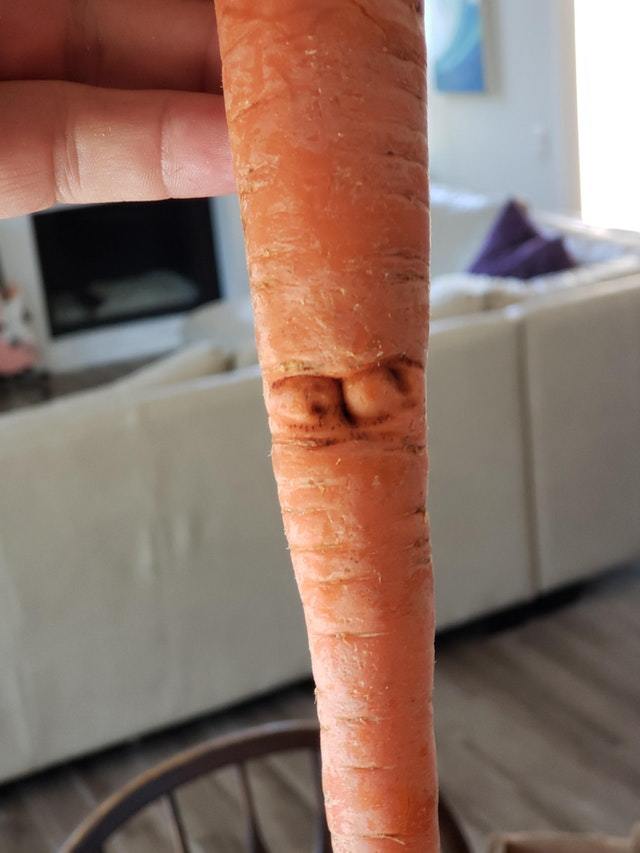 �������, ���������� � �������� ����