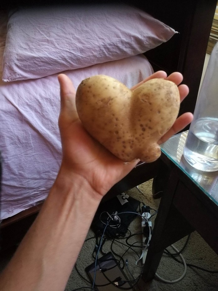 �������, ���������� � �������� ����