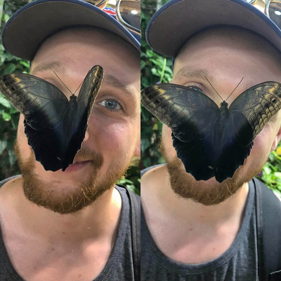 �������, ���������� � �������� ����