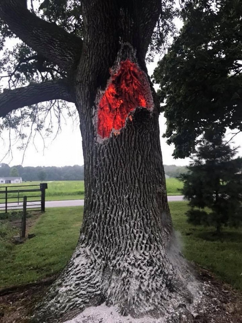 �������, ���������� � �������� ����
