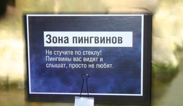 �������, ���������� � �������� ����