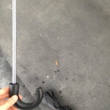 �������, ���������� � �������� ����