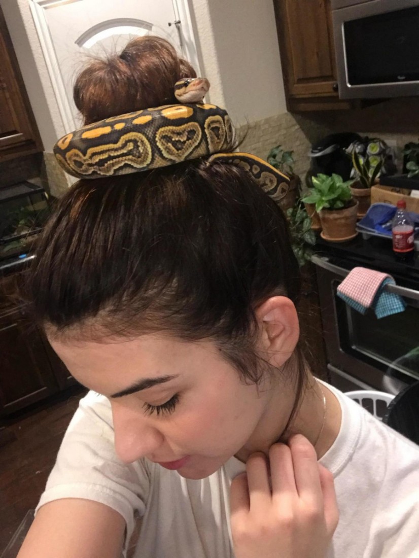 �������, ���������� � �������� ����