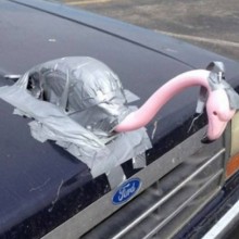 �������, ���������� � �������� ����