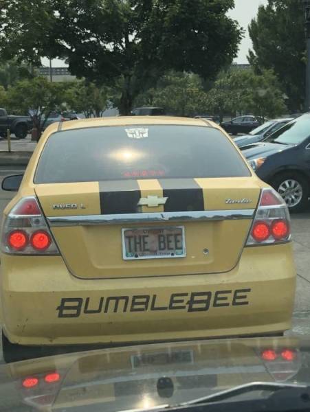 �������, ���������� � �������� ����
