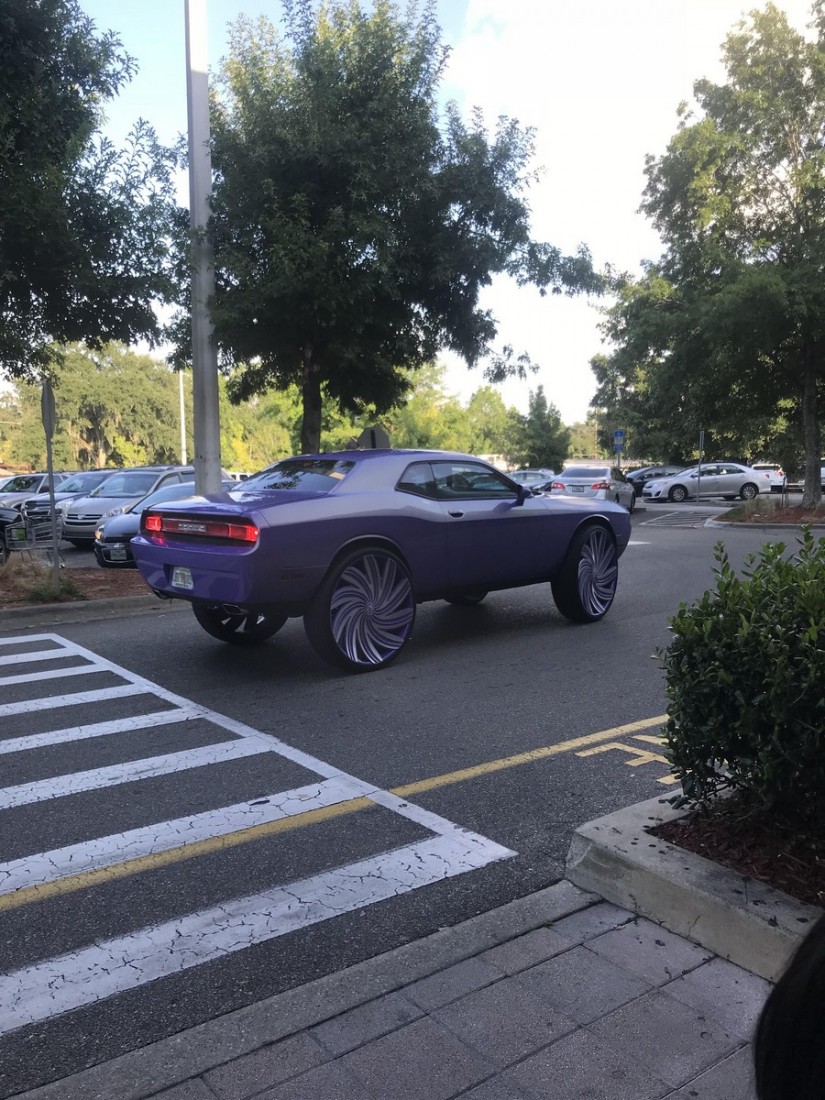 �������, ���������� � �������� ����