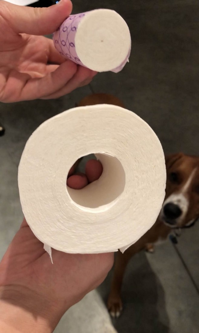 �������, ���������� � �������� ����