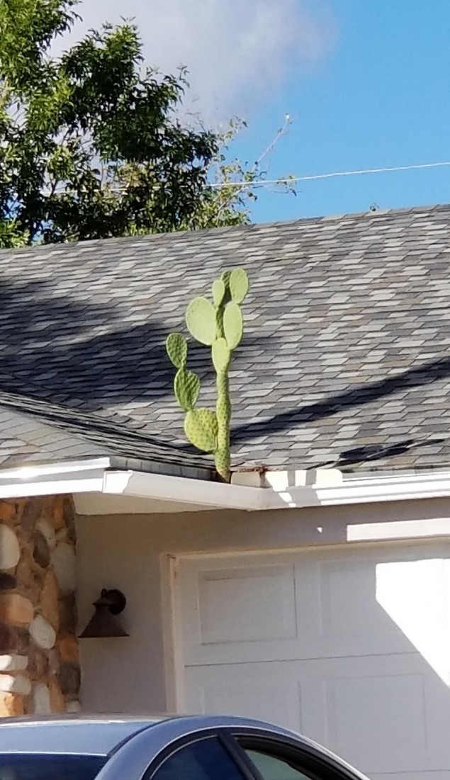 �������, ���������� � �������� ����