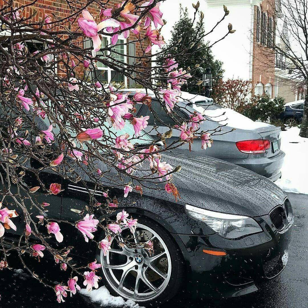 �������, ���������� � �������� ����