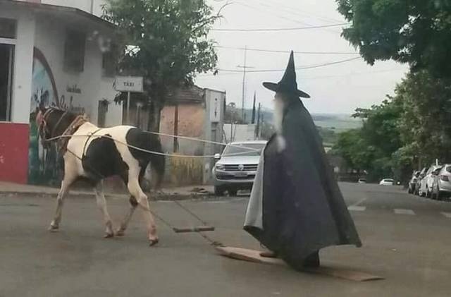 �������, ���������� � �������� ����