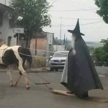 �������, ���������� � �������� ����