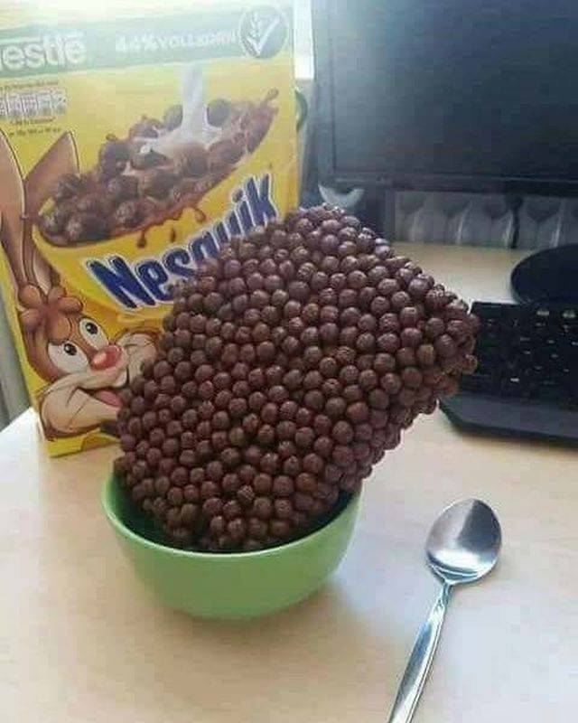 �������, ���������� � �������� ����