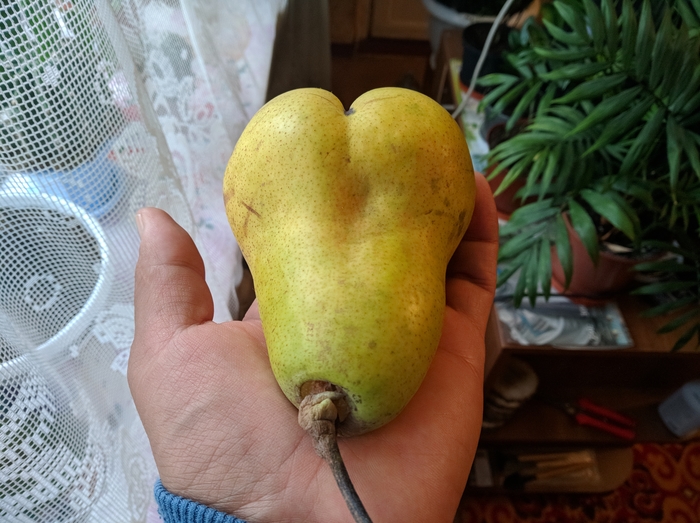 �������, ���������� � �������� ����