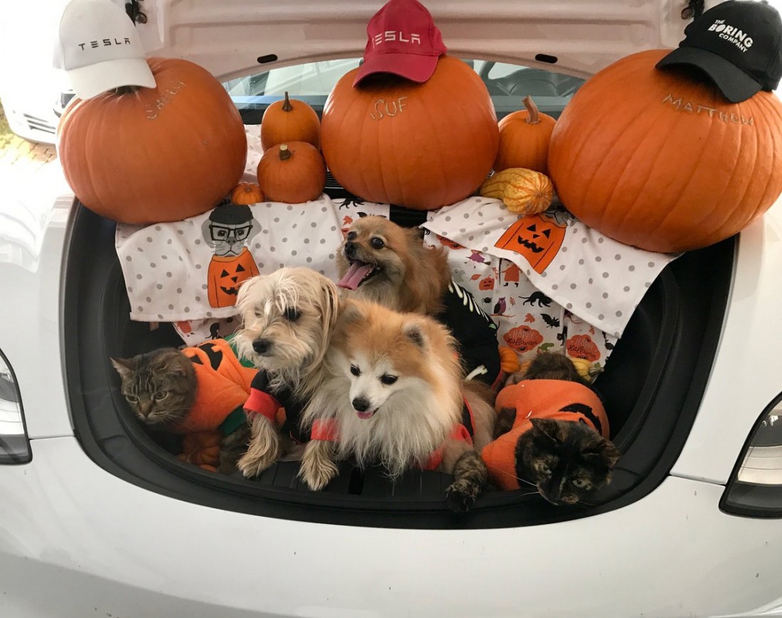 �������, ���������� � �������� ����