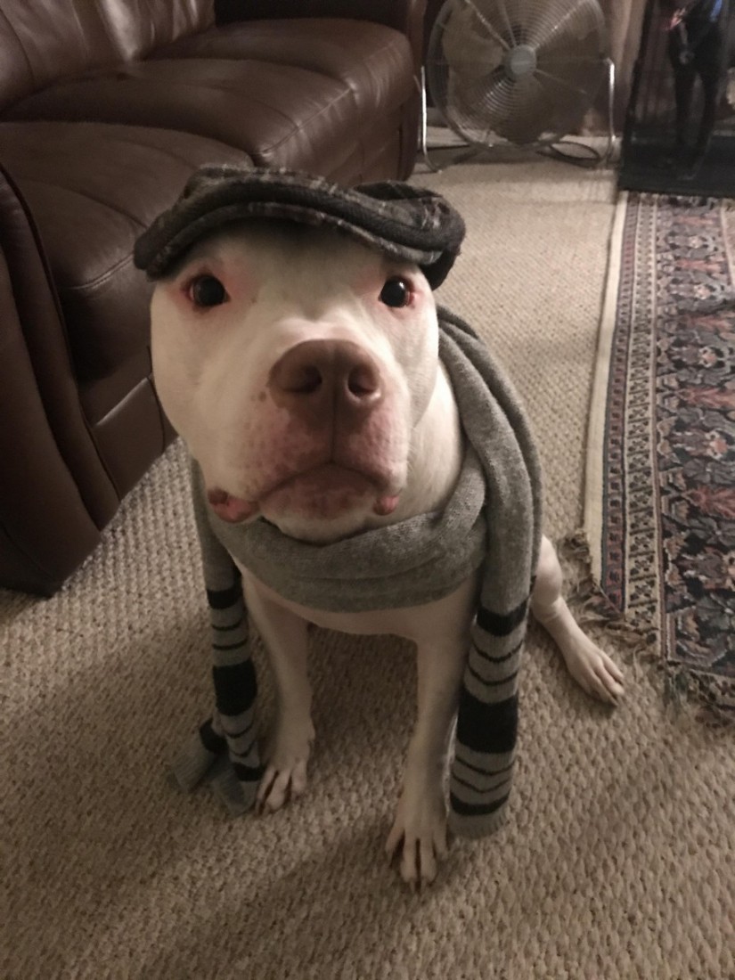 �������, ���������� � �������� ����