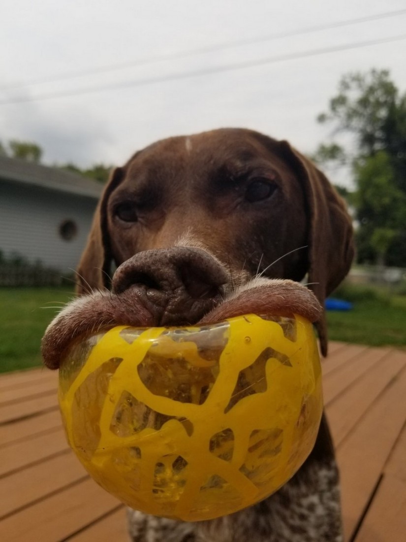 �������, ���������� � �������� ����