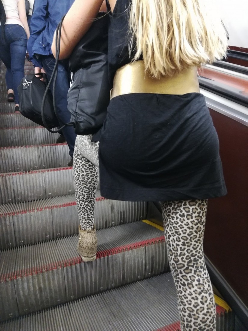 �������, ���������� � �������� ����