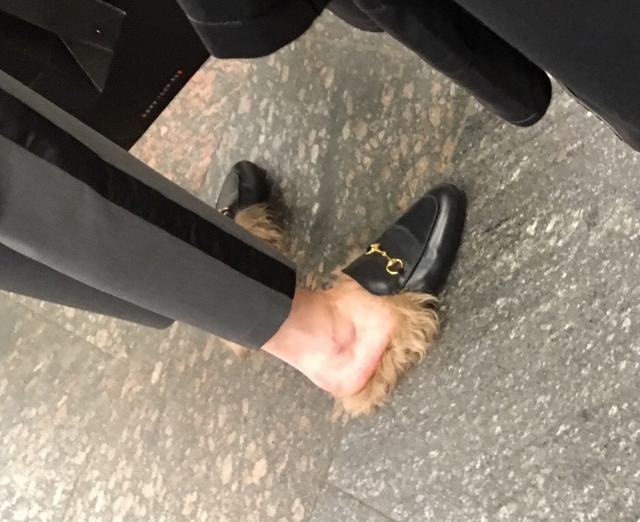 �������, ���������� � �������� ����