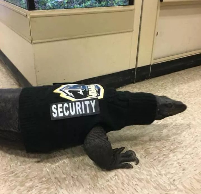 �������, ���������� � �������� ����