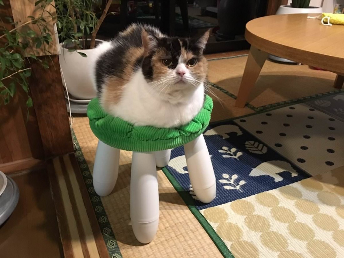 �������, ���������� � �������� ����