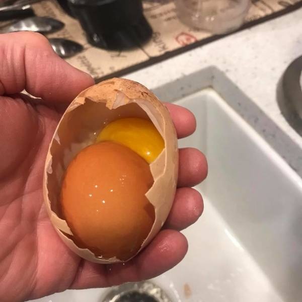 �������, ���������� � �������� ����