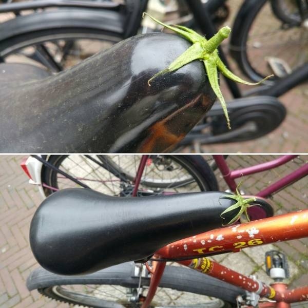 �������, ���������� � �������� ����