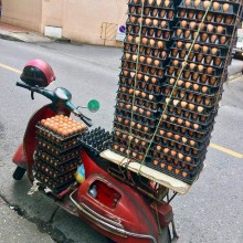 �������, ���������� � �������� ����