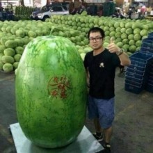 �������, ���������� � �������� ����