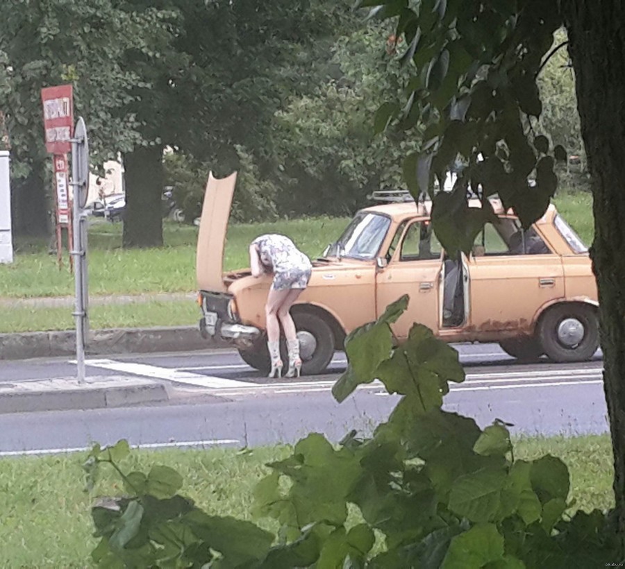 �������, ���������� � �������� ����