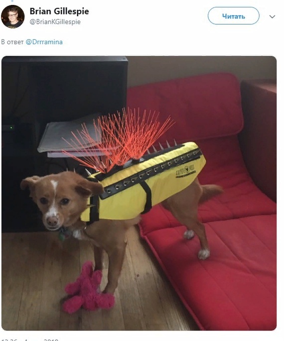 �������, ���������� � �������� ����