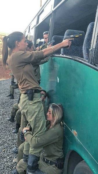 �������, ���������� � �������� ����