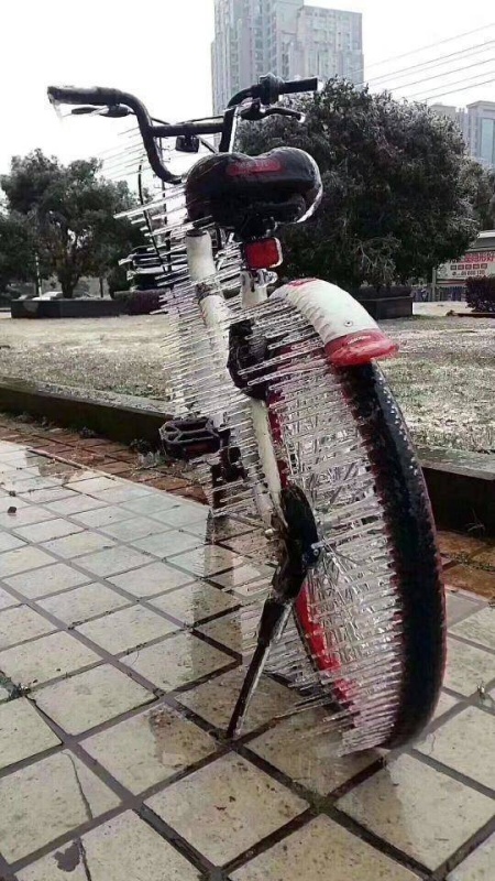 �������, ���������� � �������� ����