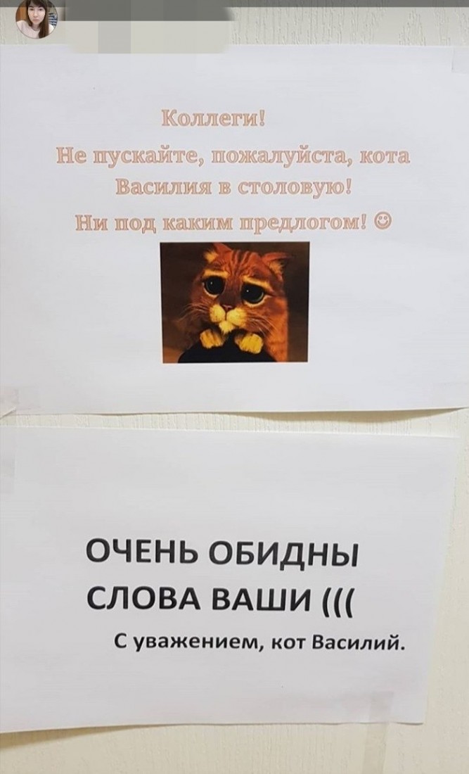 �������, ���������� � �������� ����