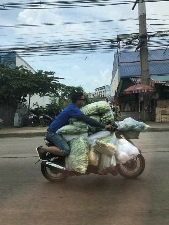 �������, ���������� � �������� ����