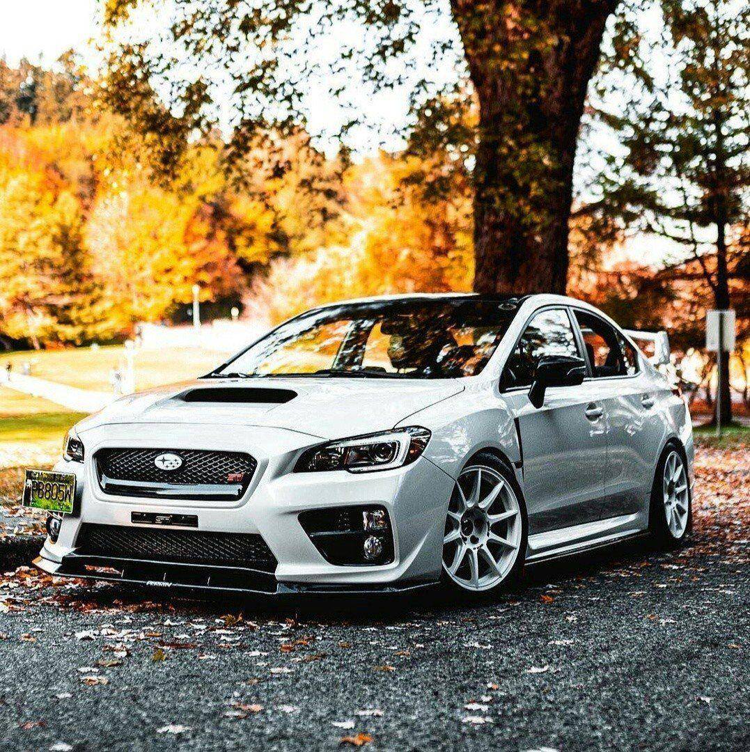 �������, ���������� � �������� ����