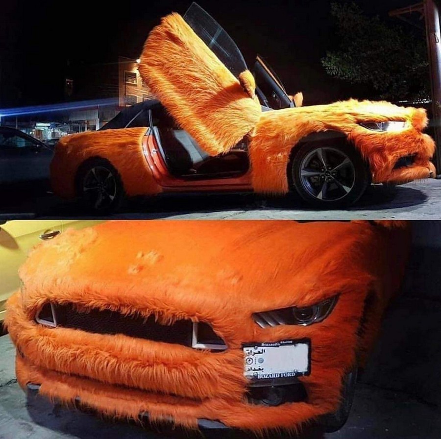 �������, ���������� � �������� ����
