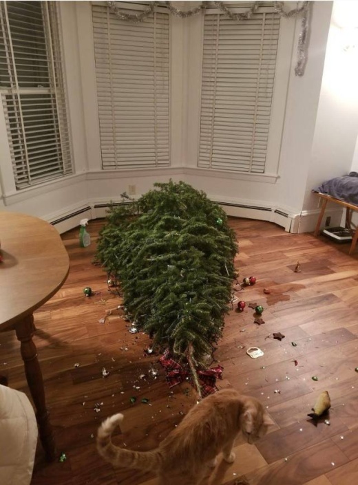 �������, ���������� � �������� ����