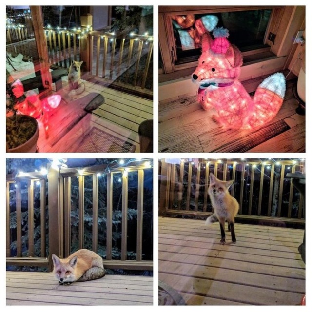 �������, ���������� � �������� ����