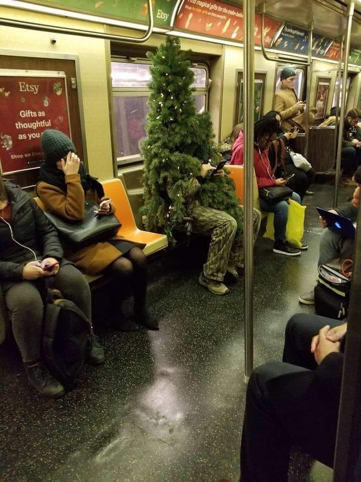 �������, ���������� � �������� ����