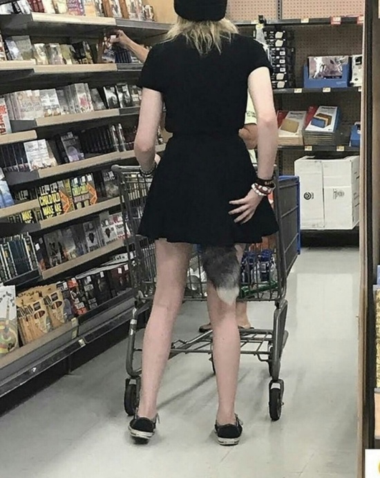 �������, ���������� � �������� ����