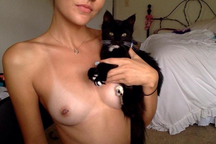 �������, ���������� � �������� ����