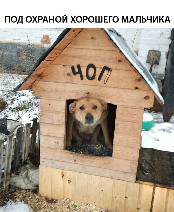 �������, ���������� � �������� ����