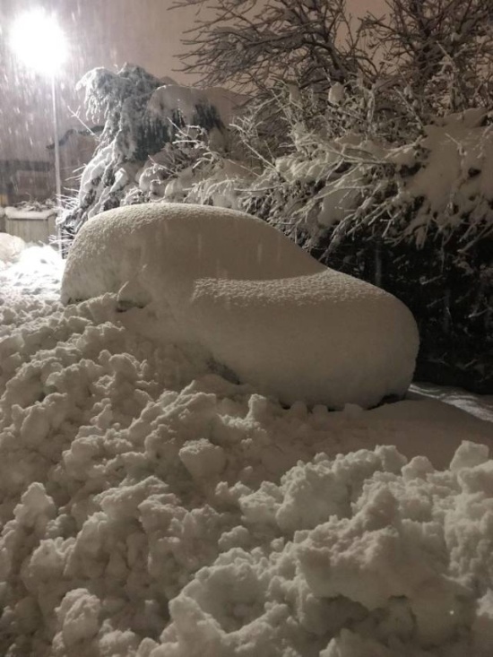 �������, ���������� � �������� ����