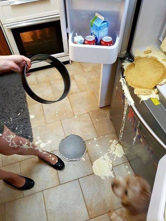 �������, ���������� � �������� ����